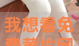 免费在线观看簧片,揭秘网络影视的诱惑与风险