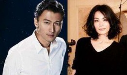 娱乐圈十岁姐弟恋爆料,真相与争议交织