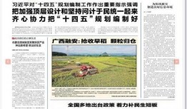 广西日报新闻爆料,揭秘重大事件背后真相