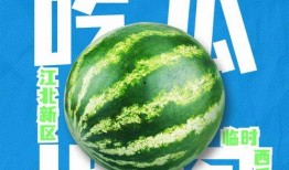 2024免费吃瓜,揭秘娱乐圈幕后大事件