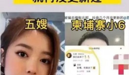 柬埔寨网红爆料五嫂视频,五嫂视频背后的惊人真相